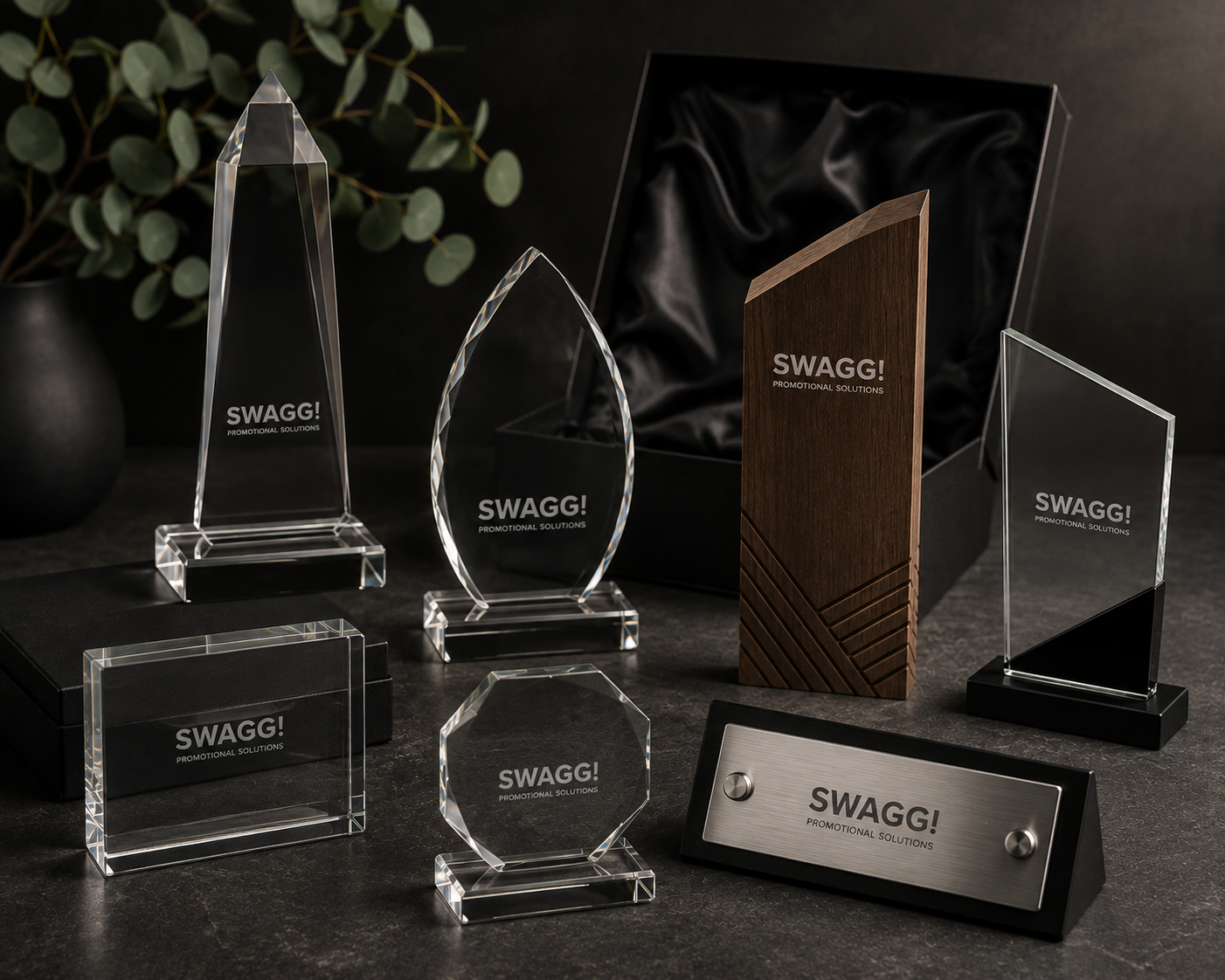 Awards & Recognition